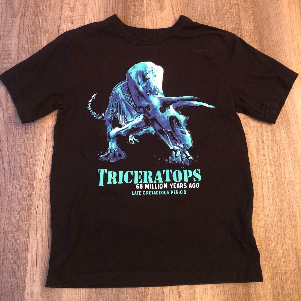 Children’s Place dinosaur tee shirt